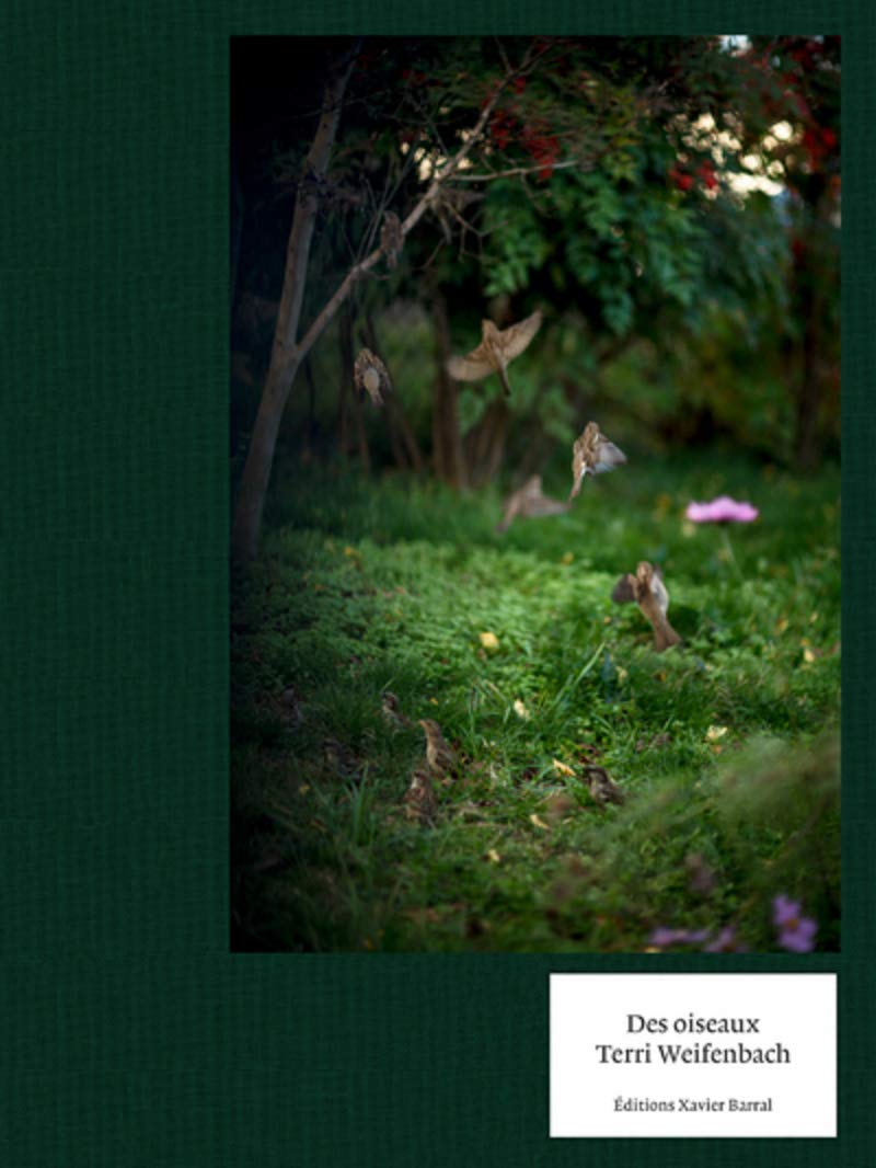 Des oiseaux - Terri Weifenbach book