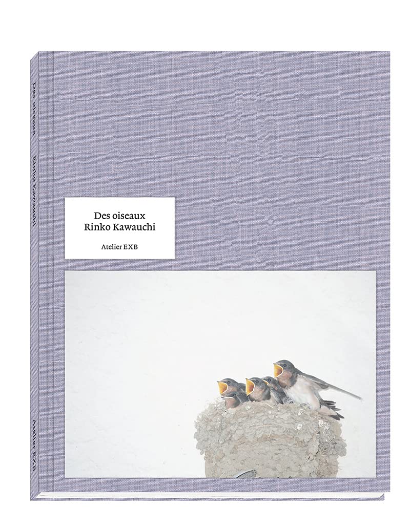 Rinko Kawauchi - Des Oiseaux Photography