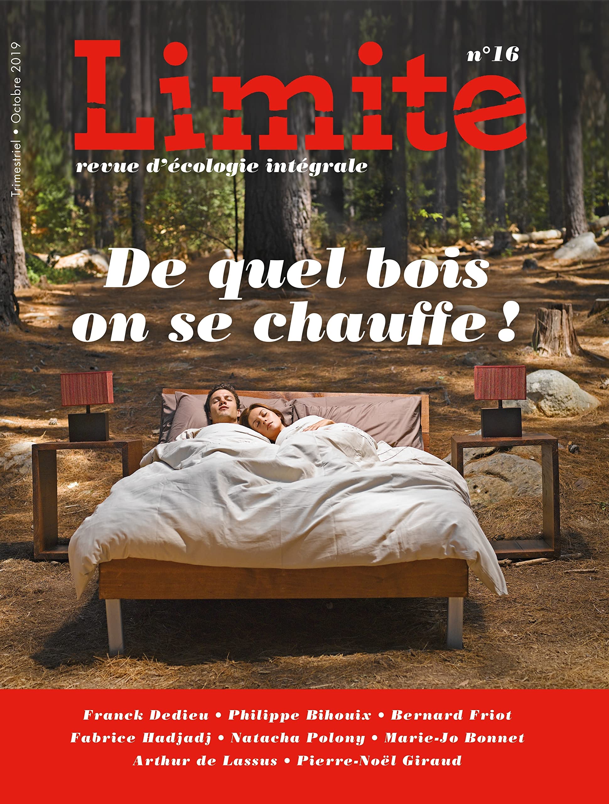 DE QUEL BOIS ON SE CHAUFFE ! Limite no 16. LA PUBLICITE book