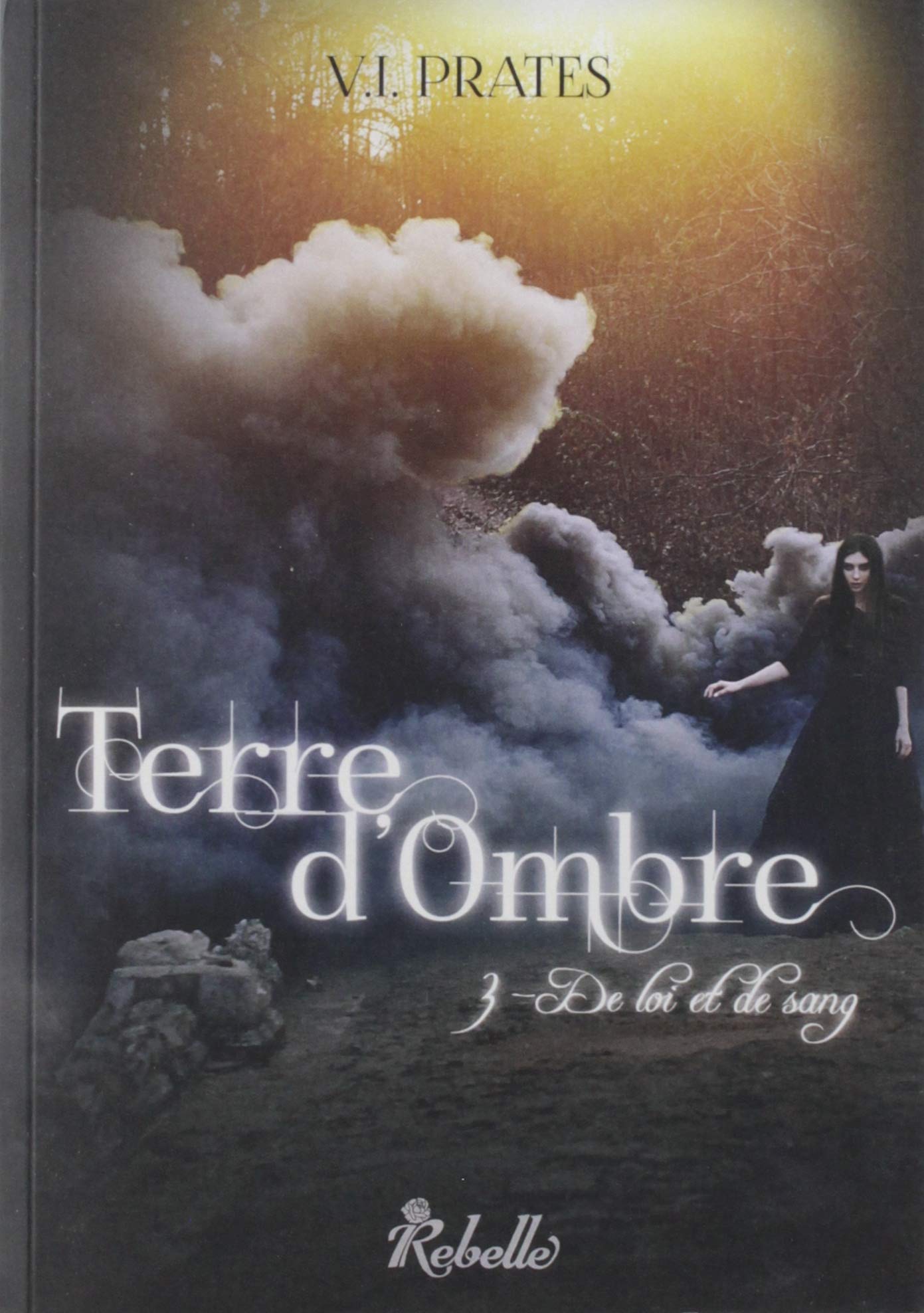 TERRE D'OMBRE : 3 - De loi et de sang Contemporary literature
