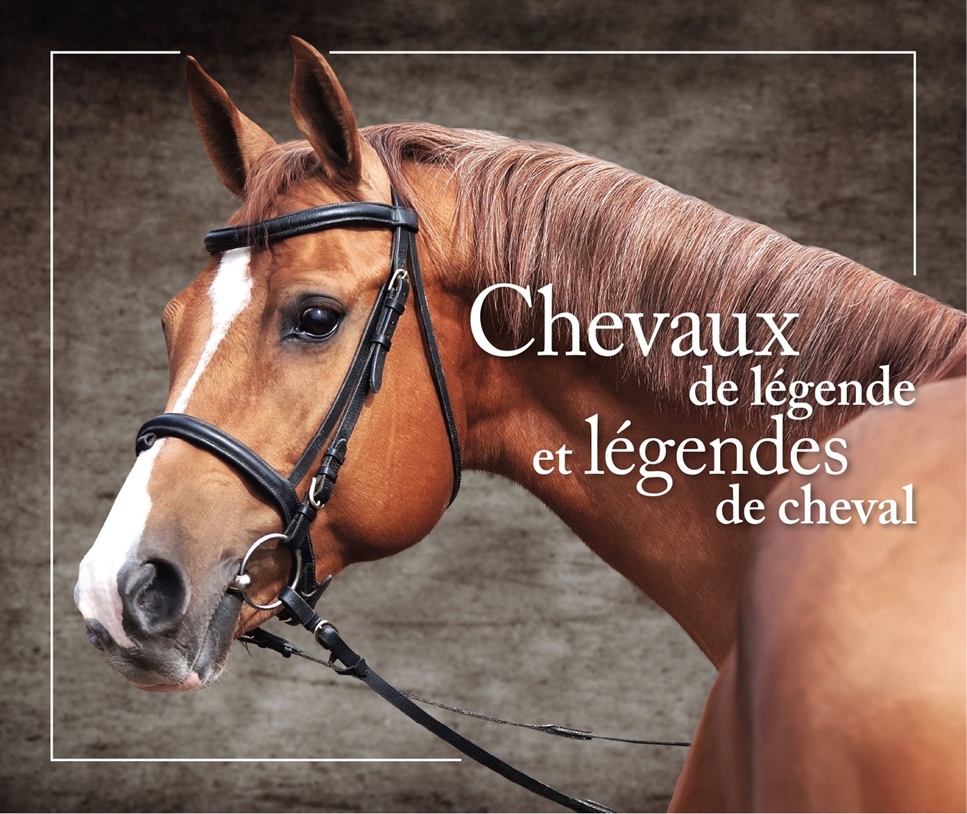 Product Image: Chevaux de légende et légendes de cheval