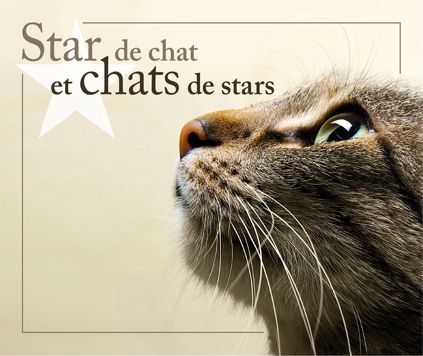 Star de chat et chats de stars Books