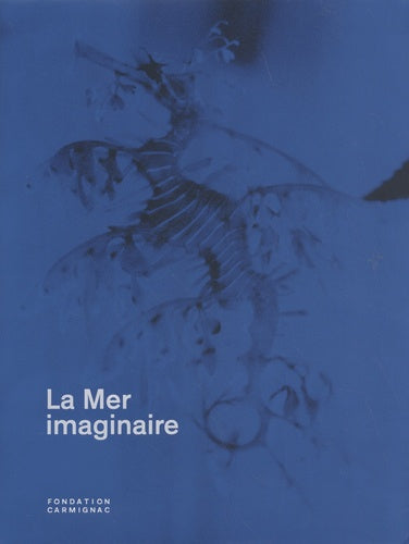 Product Image: La mer imaginaire