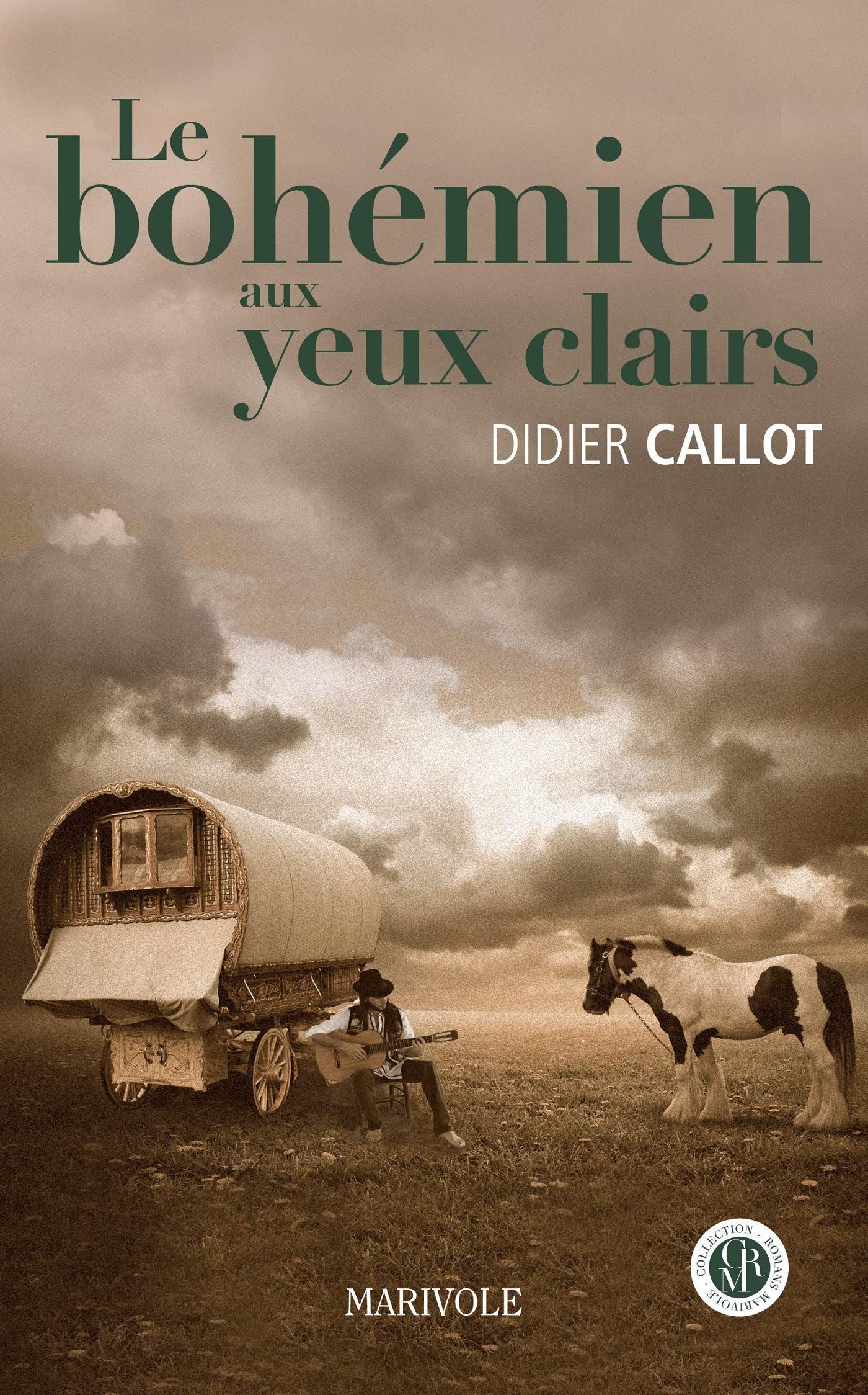 Le bohémien aux yeux clairs book