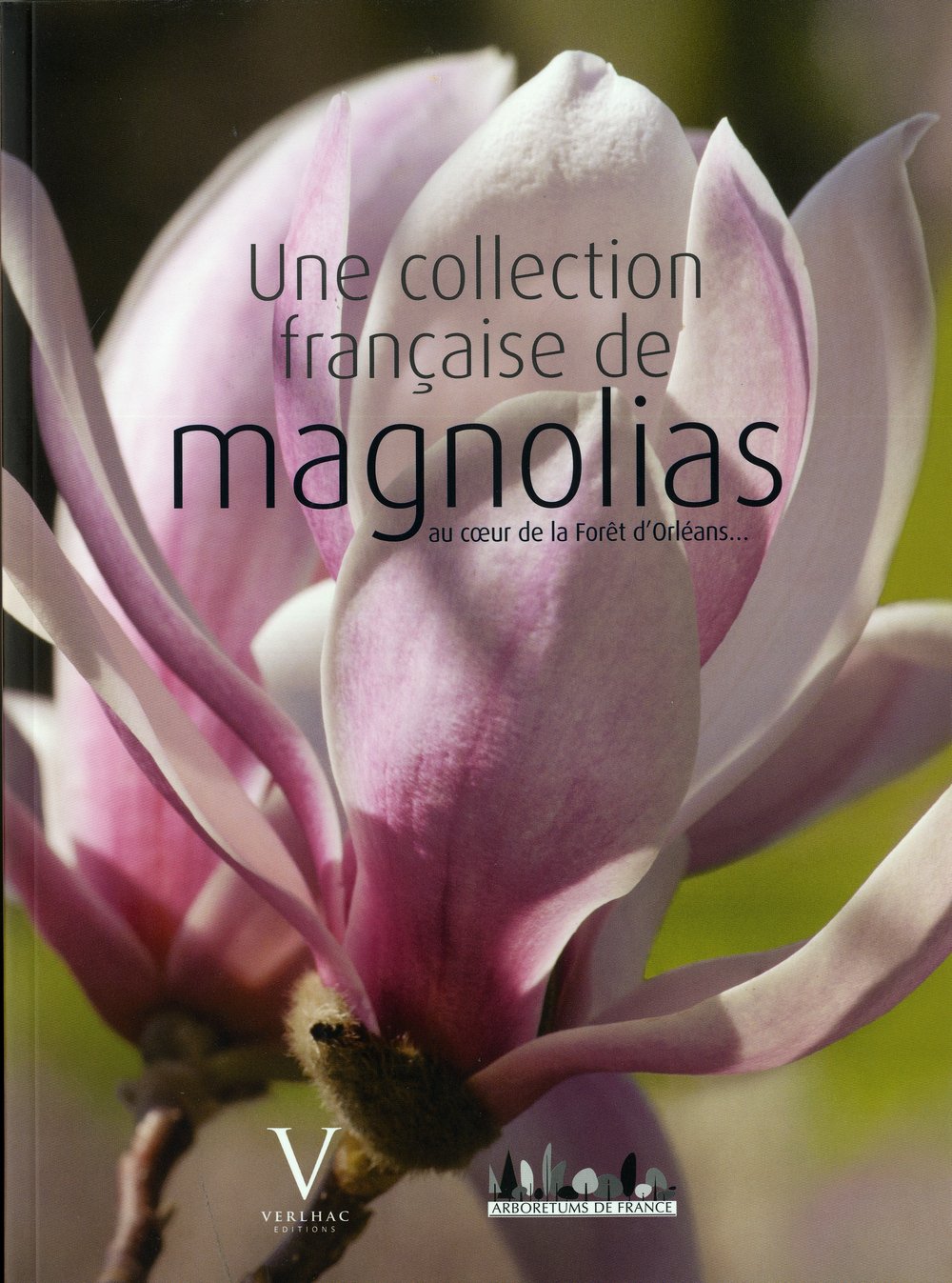 Une collection française de magnolias au coeur de book