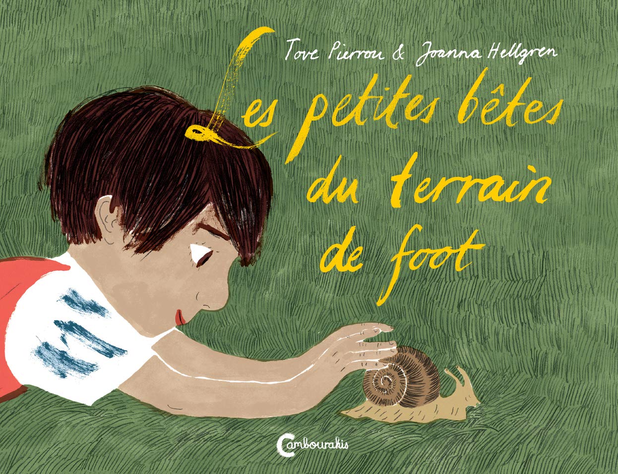 Les petites bêtes du terrain de foot book