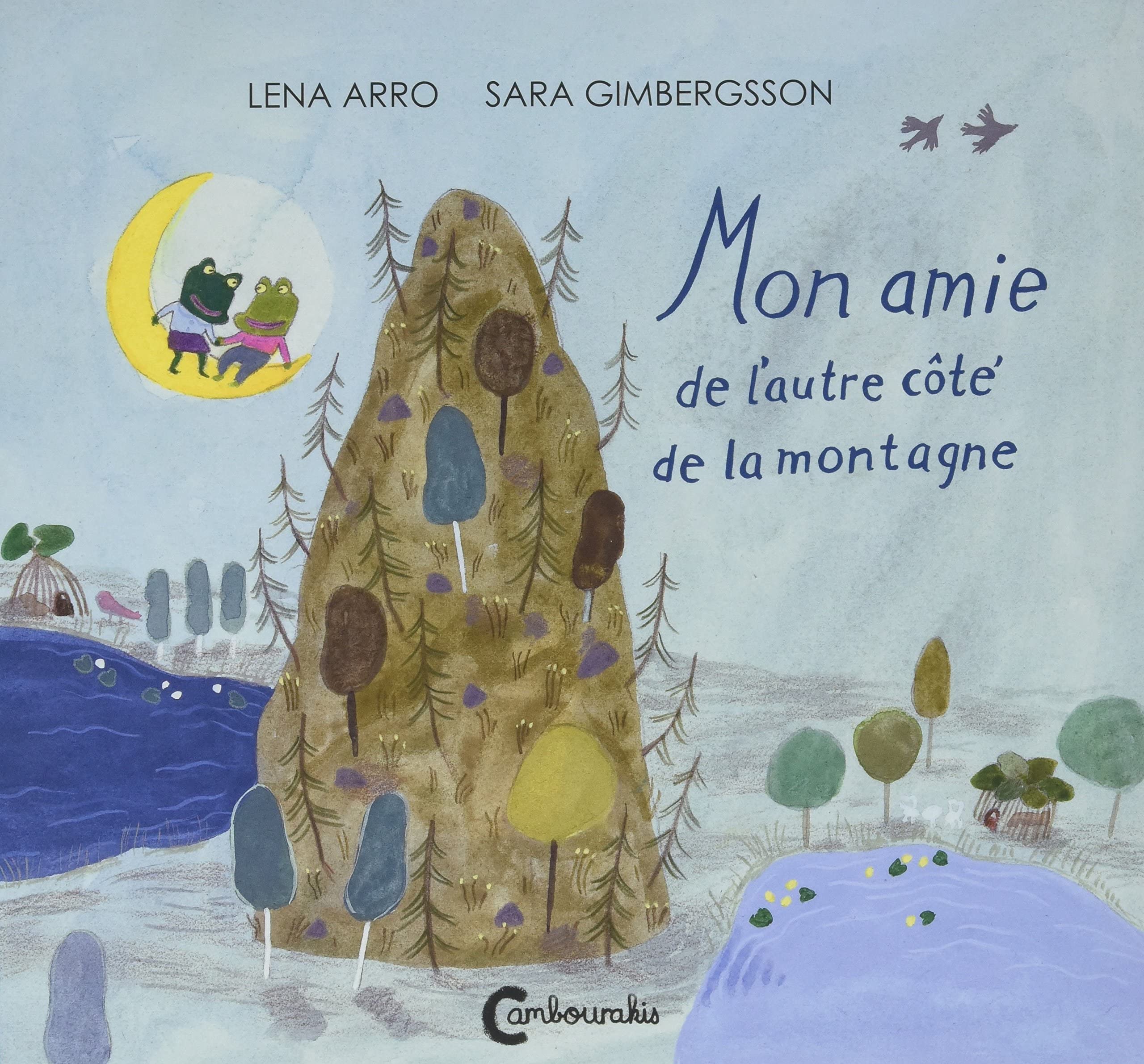 Mon ami de l'autre coté de la montagne book