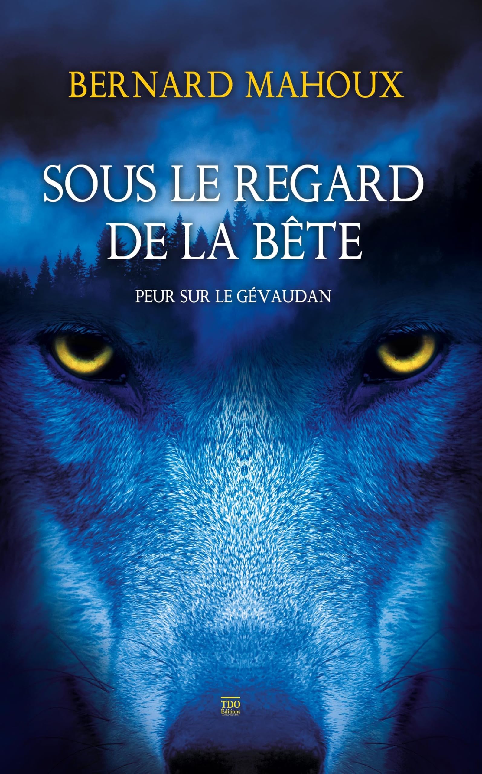 Sous le regard de la bête: Peur sur le Gévaudan Historical Fiction