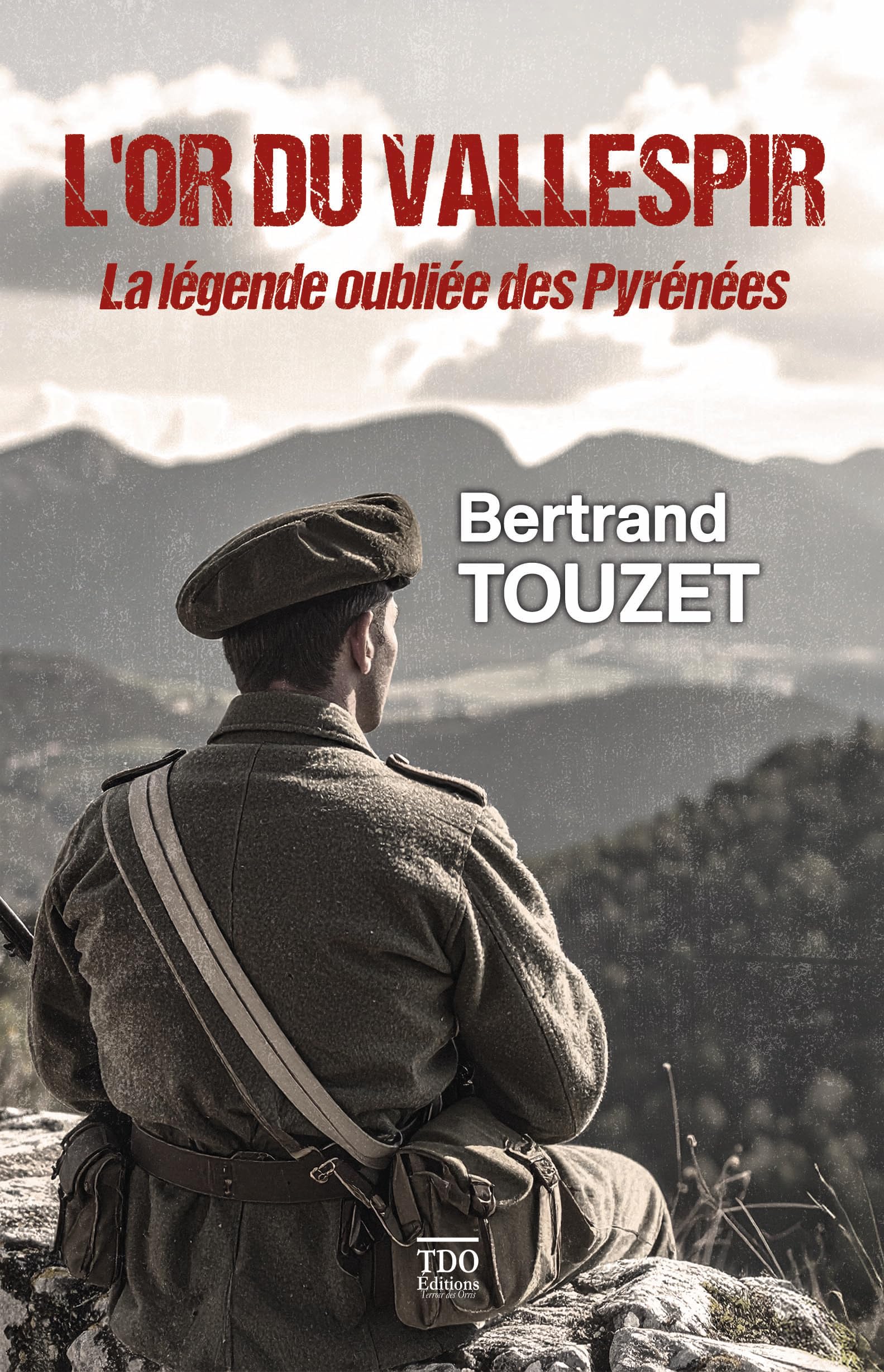 L'or du Vallespir : La légende oubliée des Pyrénées book
