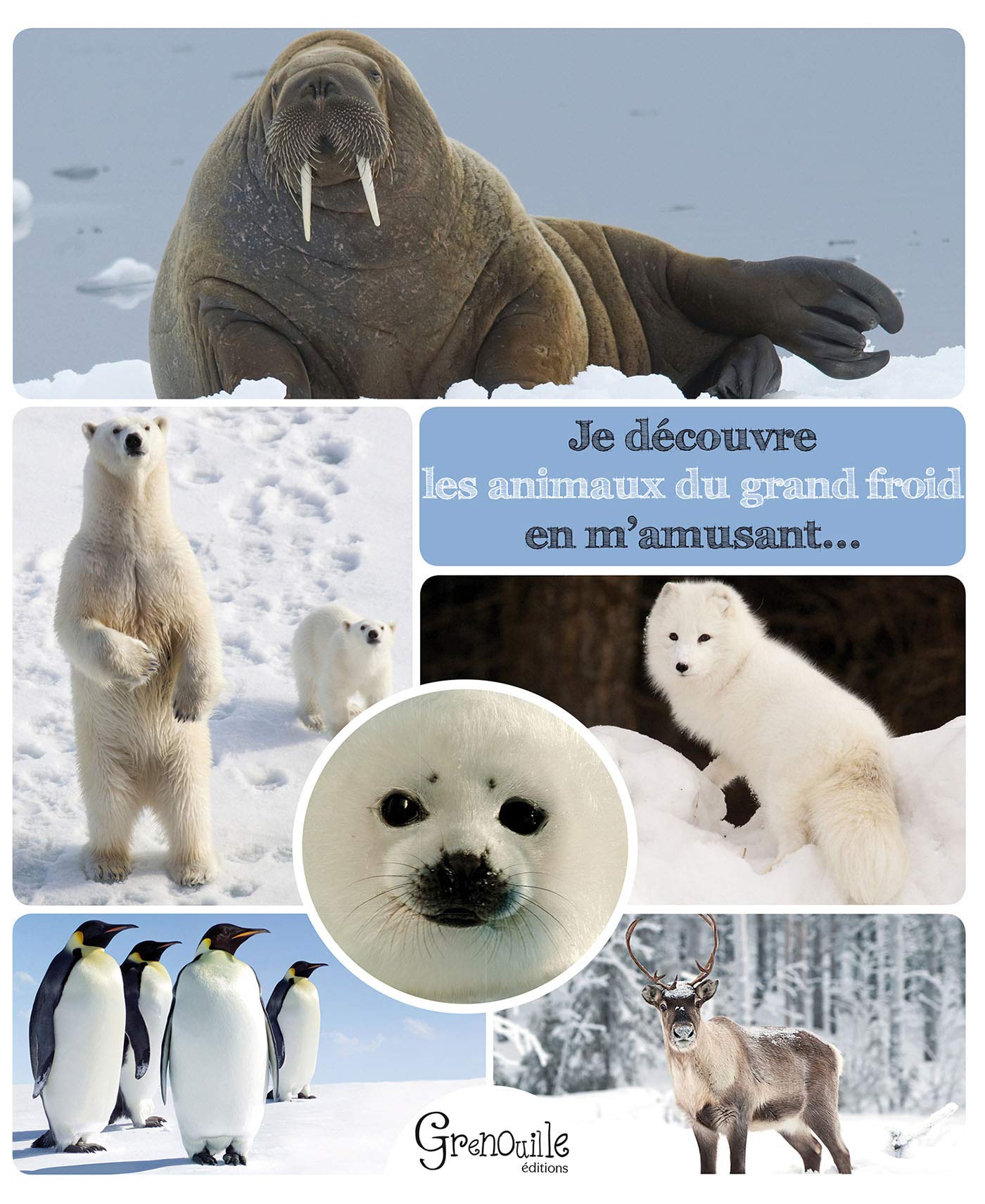 Je découvre les animaux du grand froid en m'amusant Children's books
