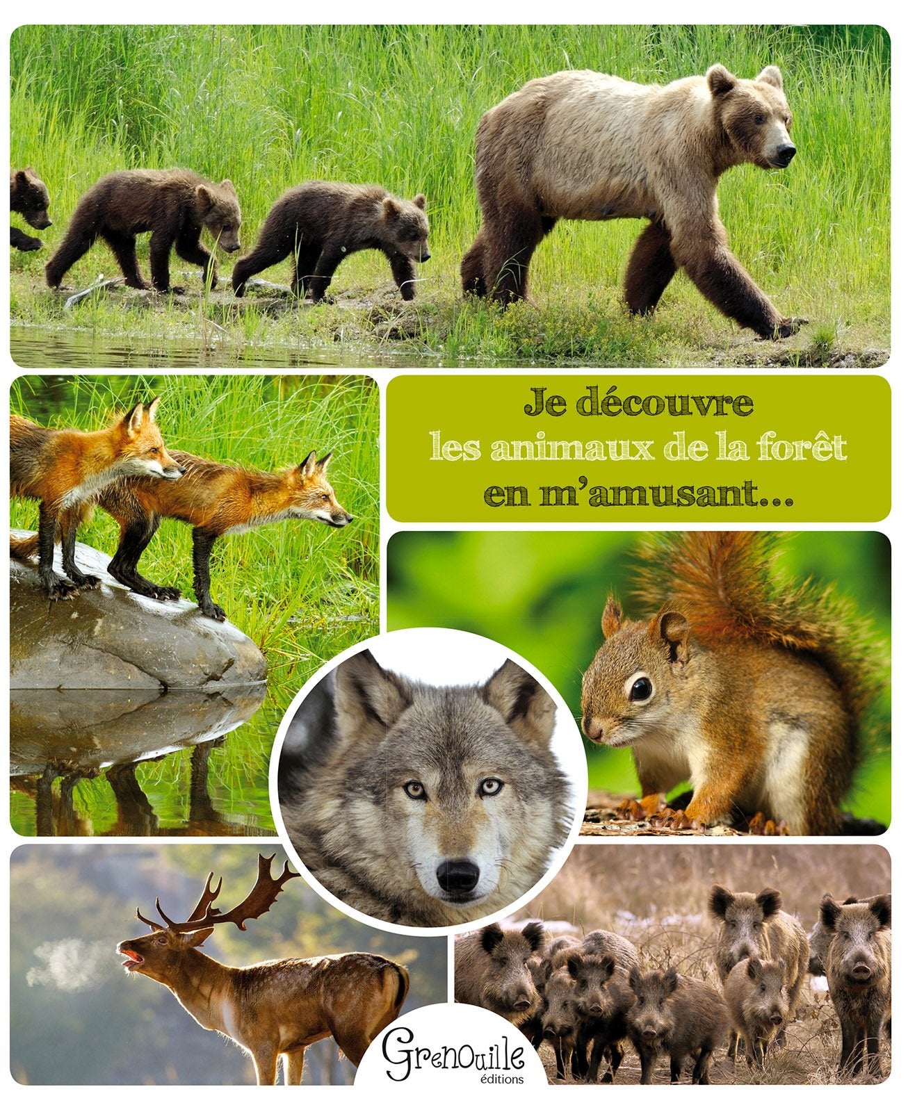 Je découvre les animaux de la forêt en m'amusant... book