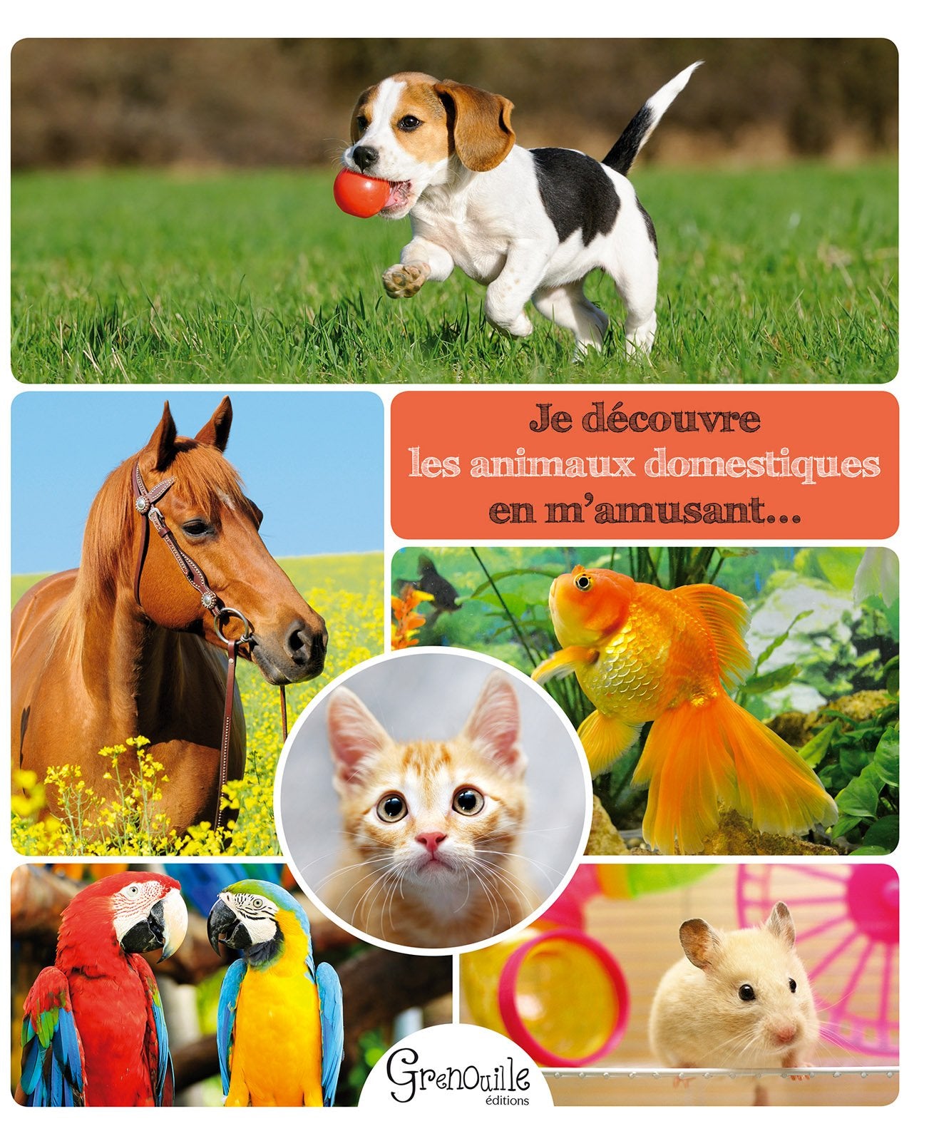 Je découvre les animaux domestiques en m'amusant... Books