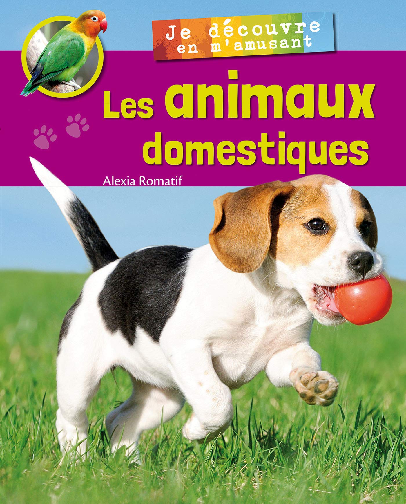 Je découvre les animaux domestiques en m'amusant Children's books