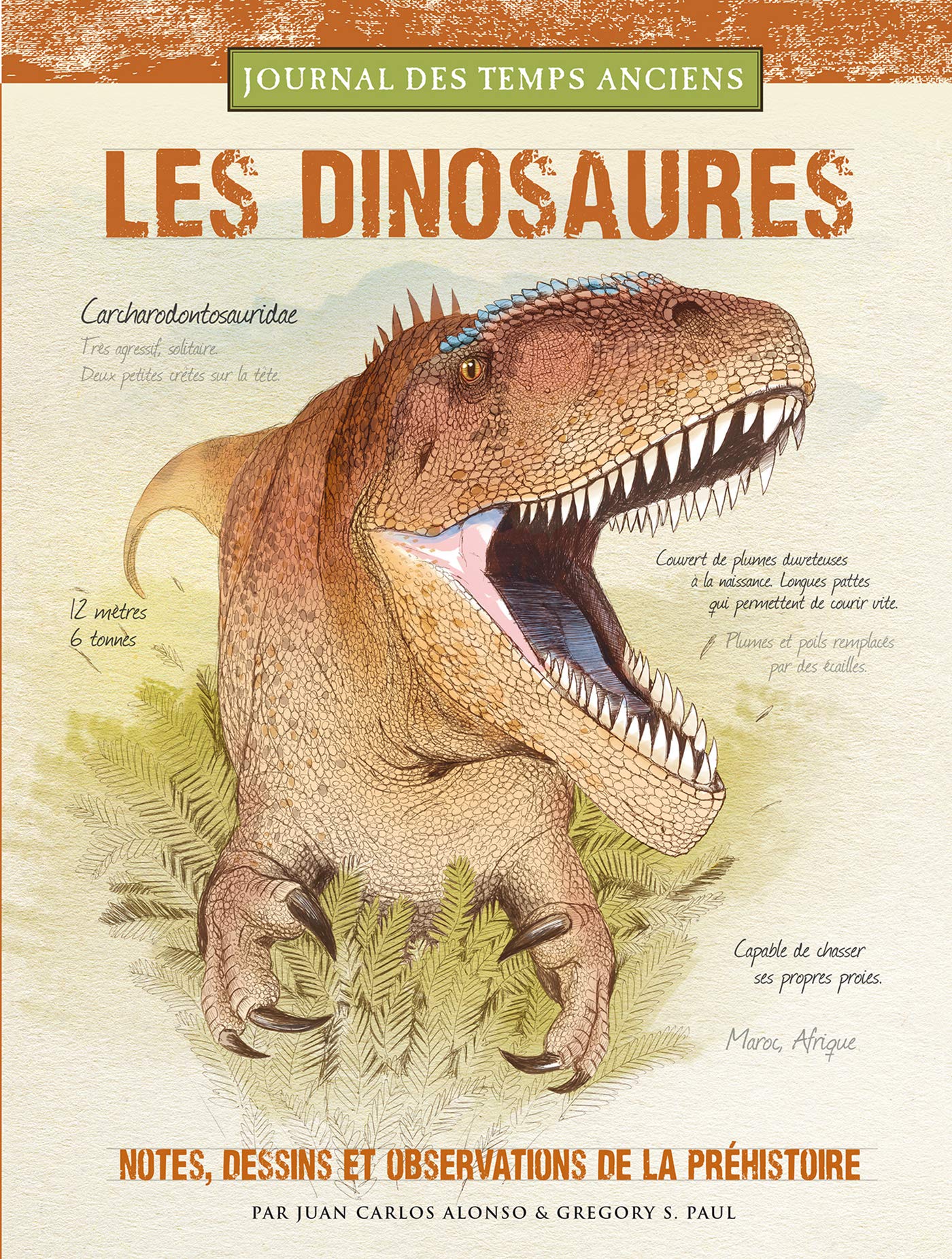 Les dinosaures: Notes, croquis et observations sur la préhistoire Children's books