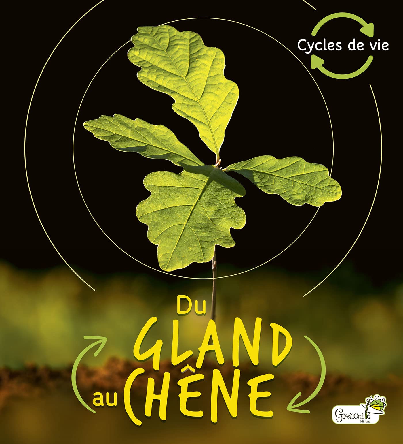 Du gland au chêne book