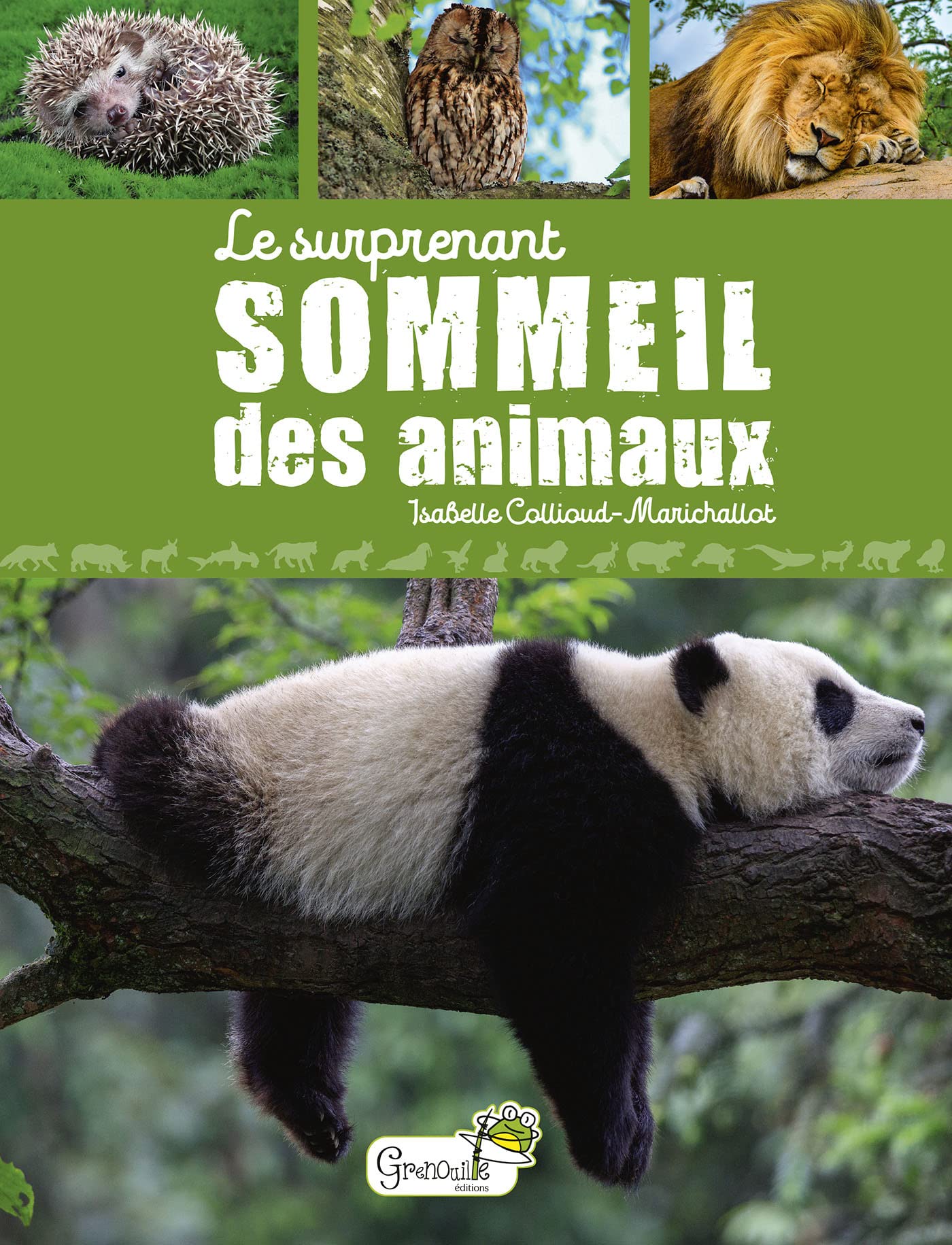 Le surprenant sommeil des animaux Children's books