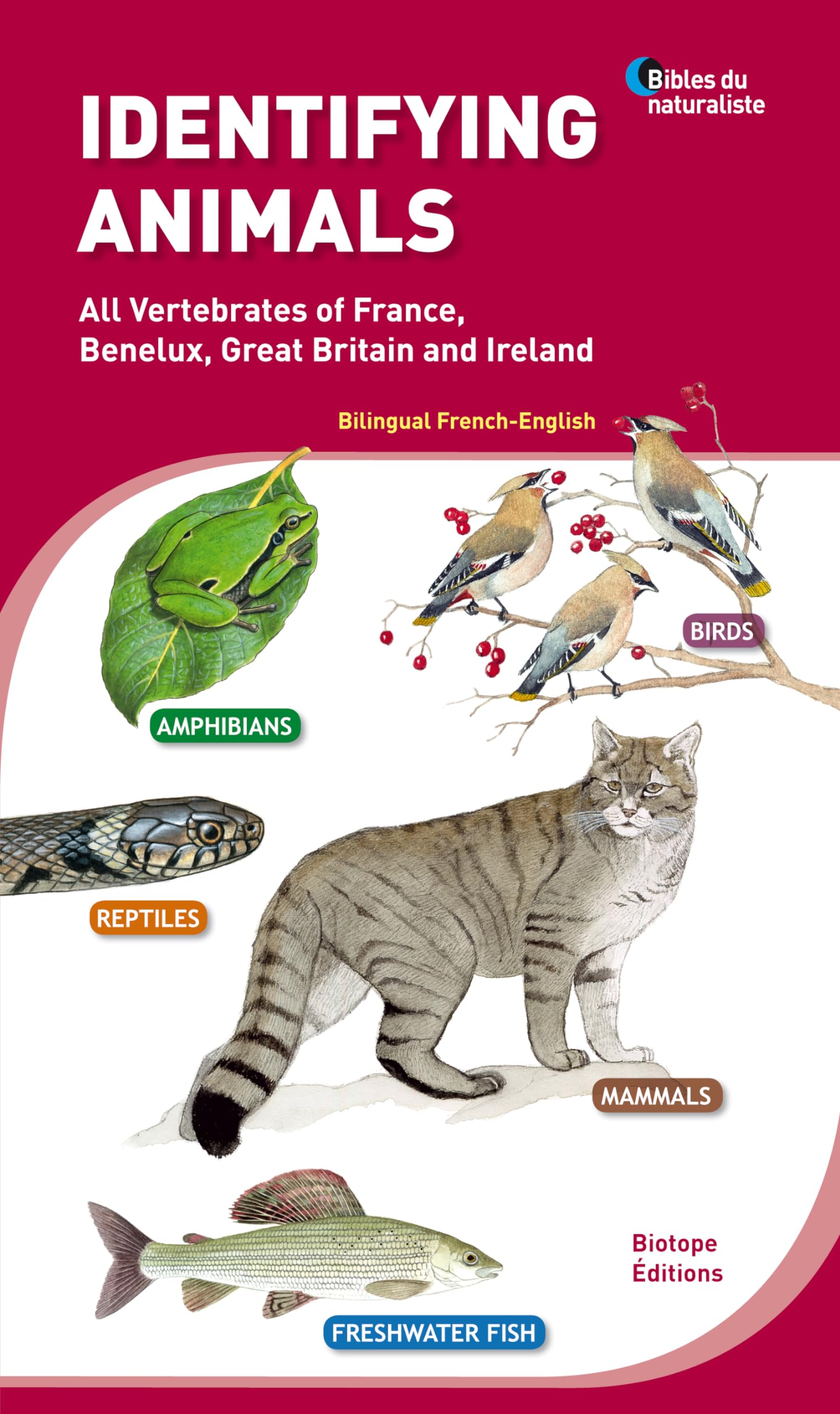 Identifying animals - All Vertebrates of France, Benelux, Great Britain and Ireland. Bilingual French-English. book