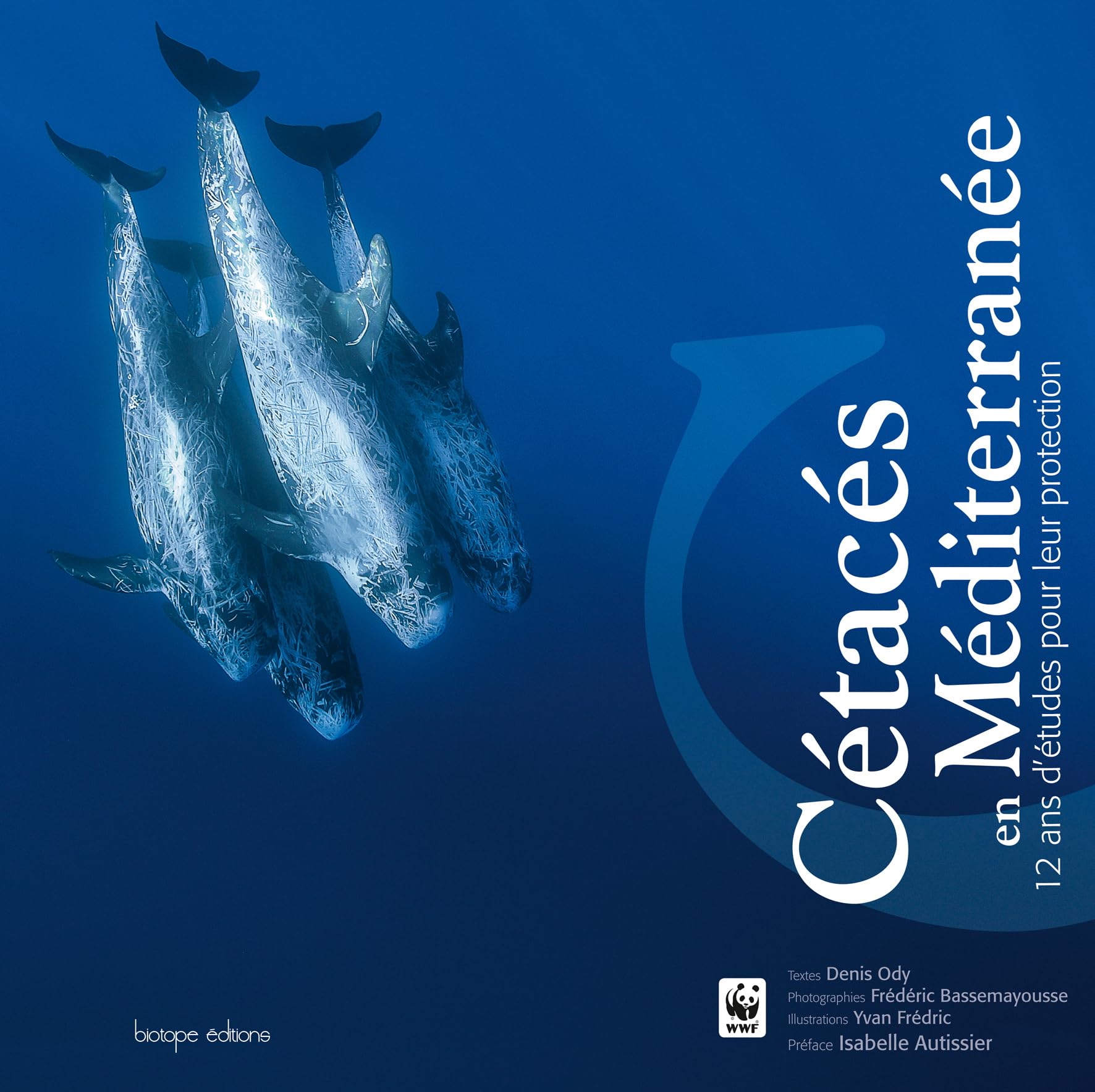 CETACES EN MEDITERRANEE - RECITS ET RESULTATS DE 12 ANS D'ETUDES DU WWF FRANCE: 12 ans d'études pour leur protection Film, Art & Culture
