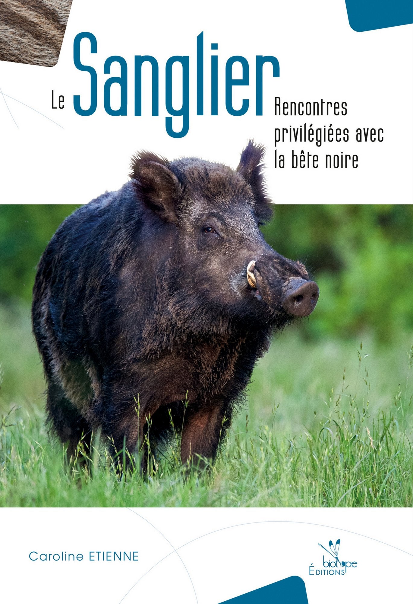 Le sanglier: Rencontres privilégiées avec le bête noire book