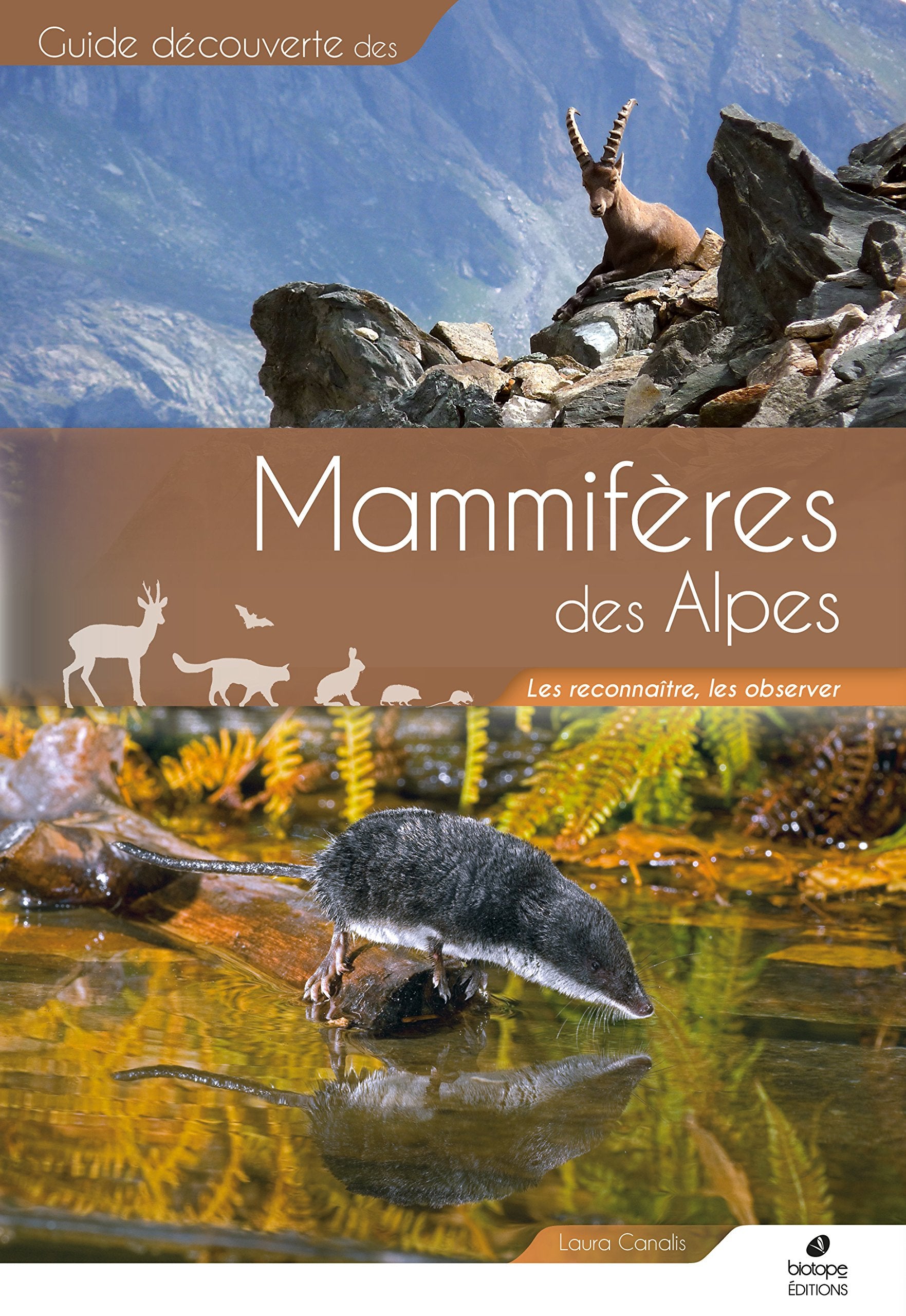 Mammifères des Alpes: Les reconnaître, les observer book
