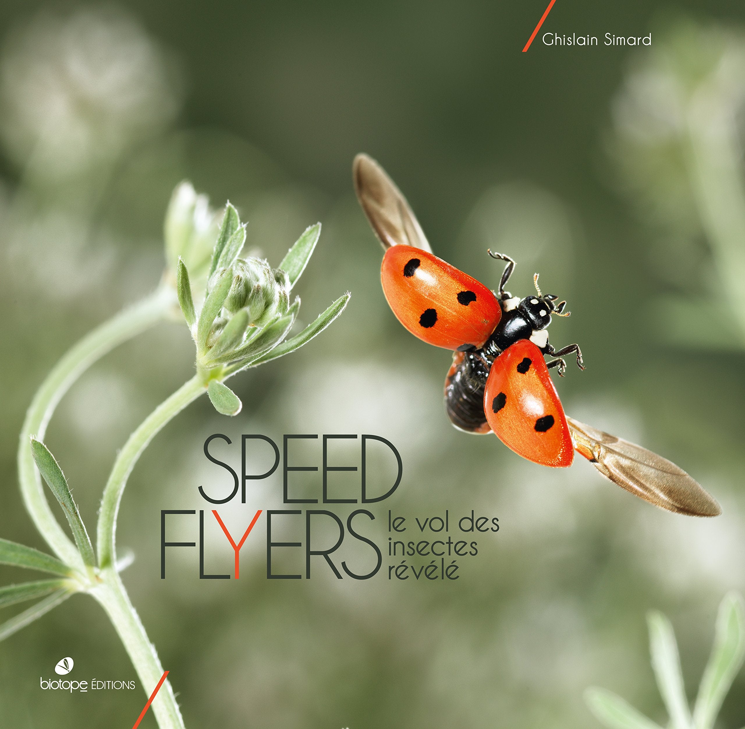 Speed flyers: Le vol des insectes révélé book