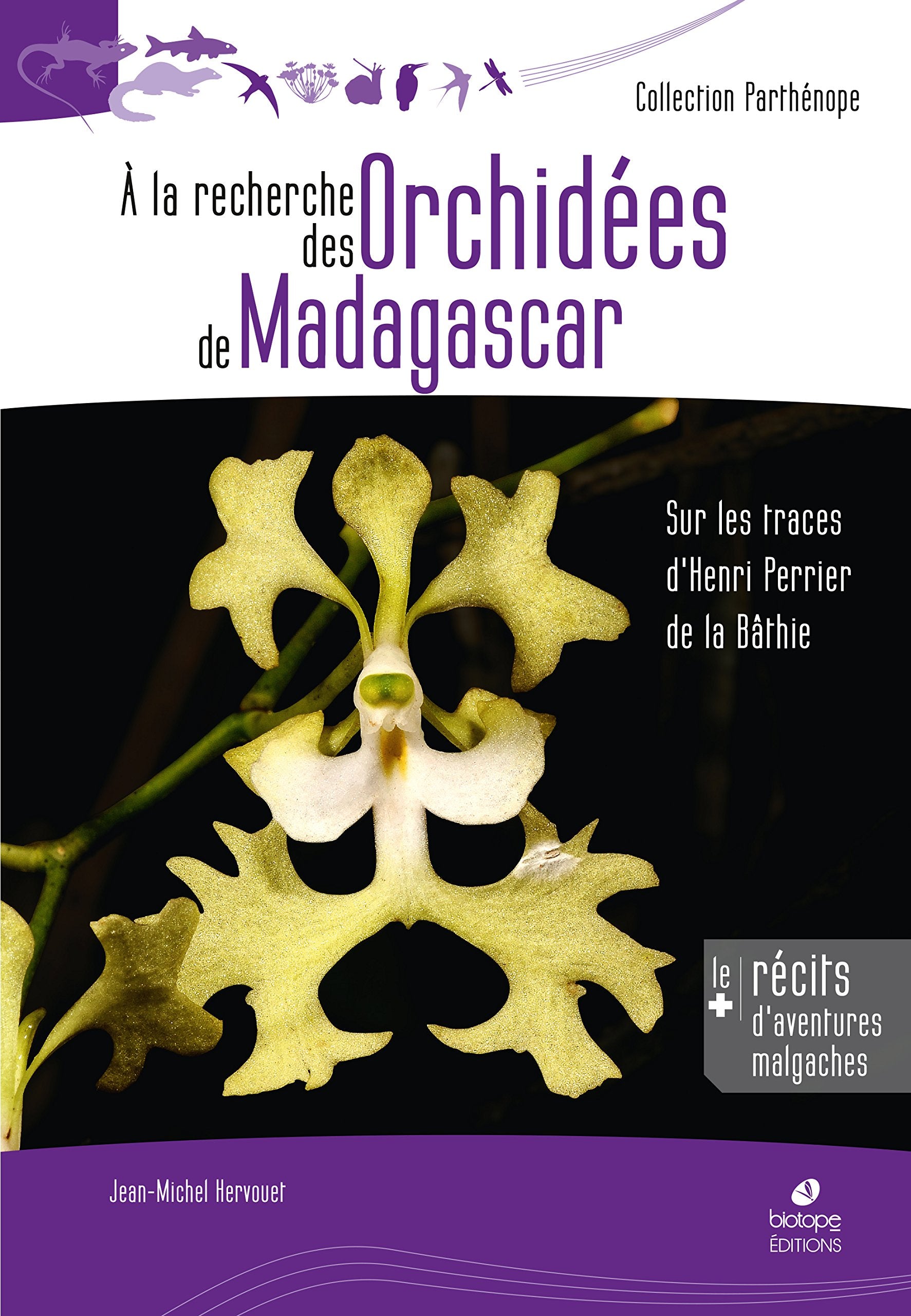 À la recherche des orchidées de Madagascar book