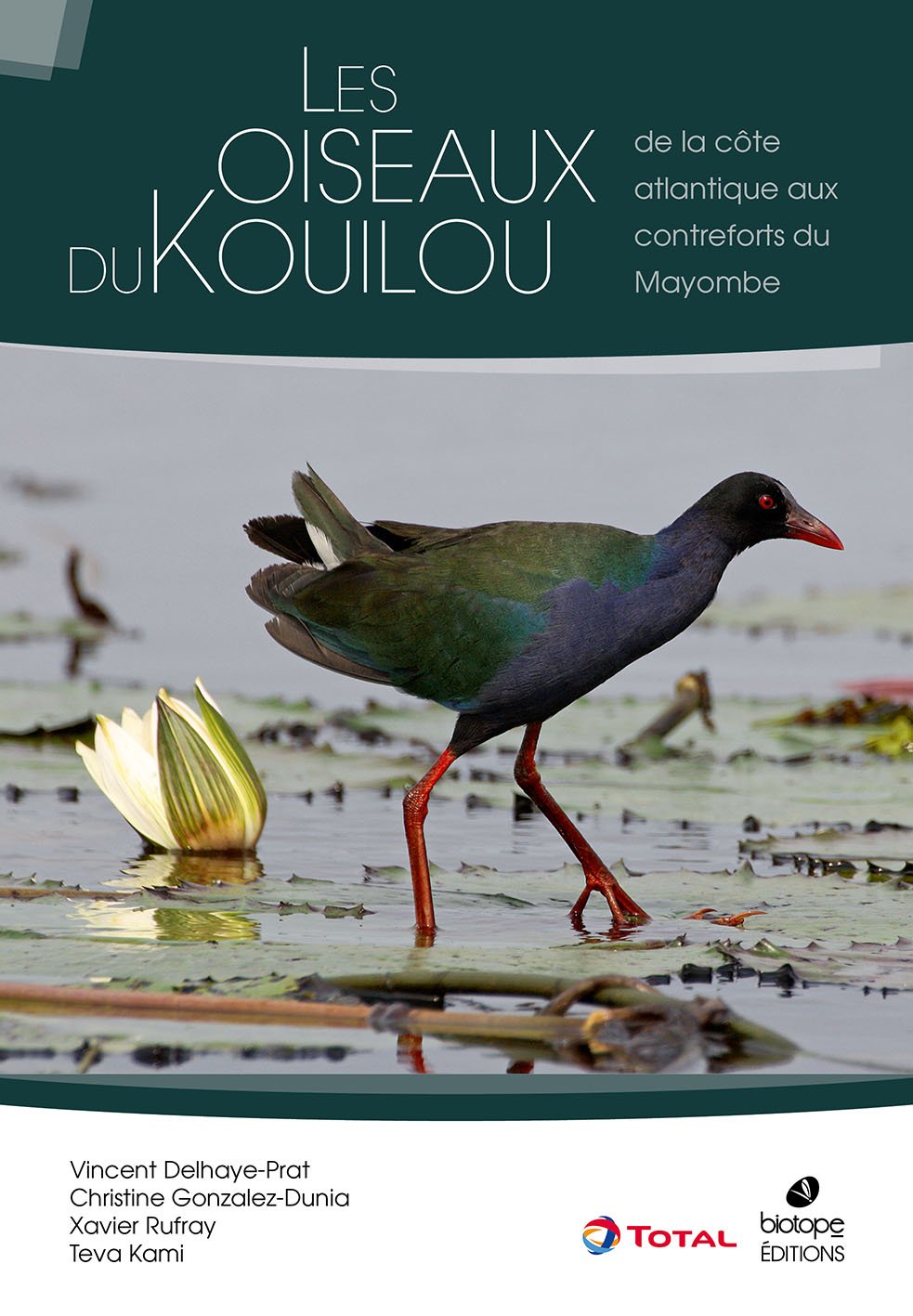LES OISEAUX DU KOUILOU: DE LA COTE ATLANTIQUE AU CONTREFORTS DU MAYOMBE (CONGO) book