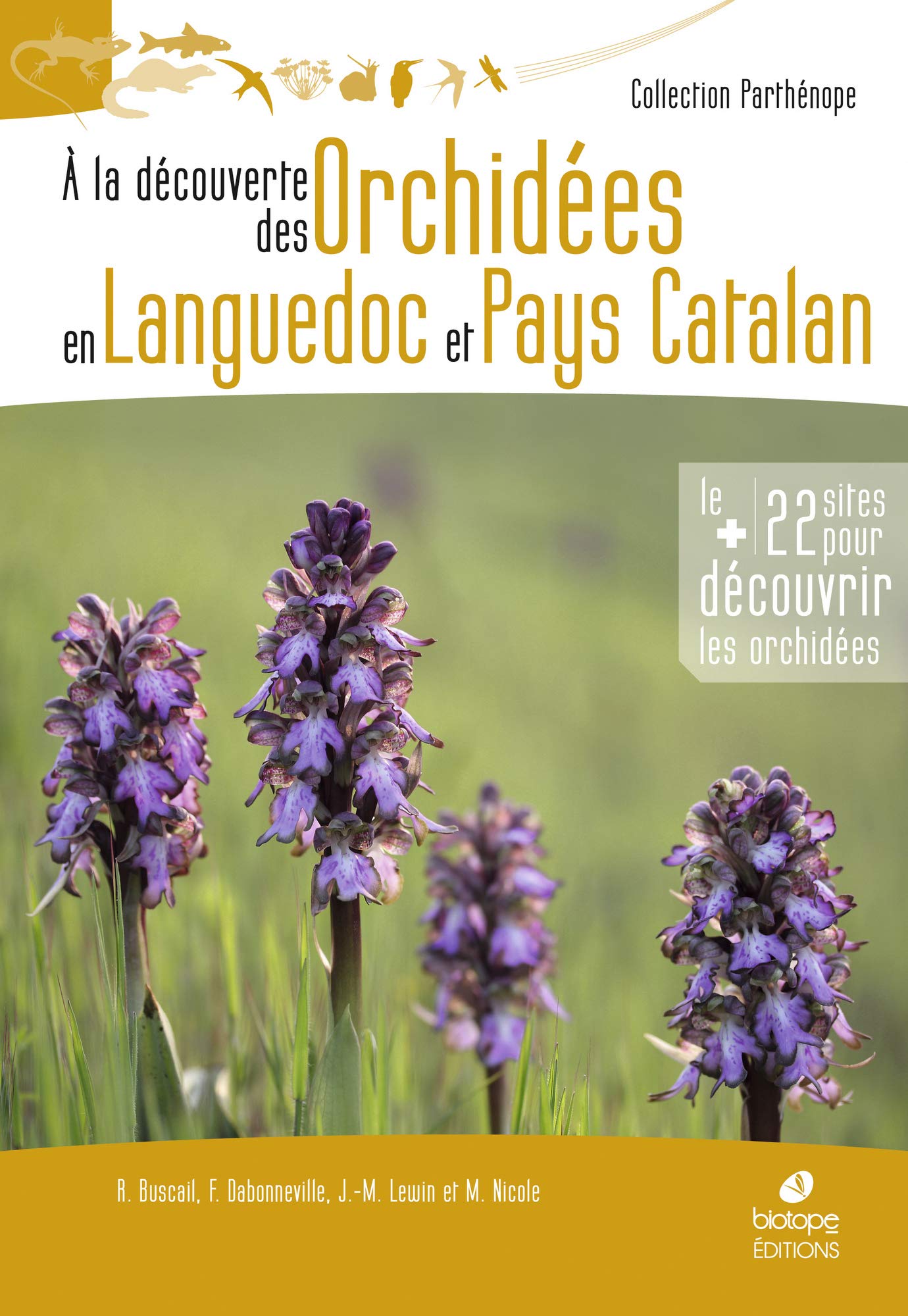 À la découverte des orchidées en Languedoc et pays catalan book