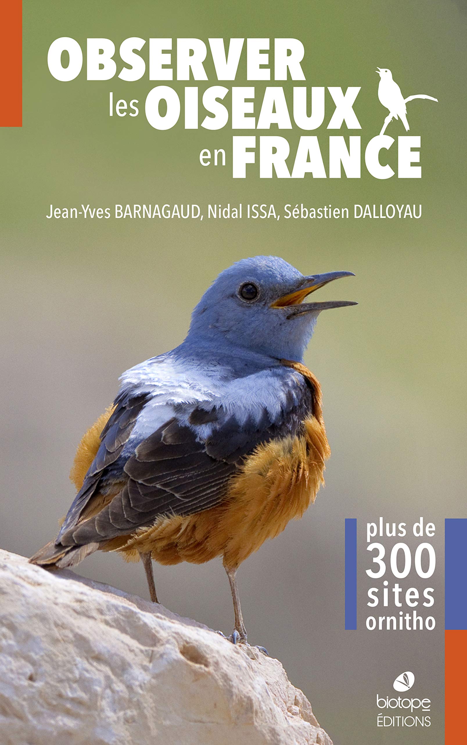 Observer les oiseaux en france: Plus de 300 spots ornitho book