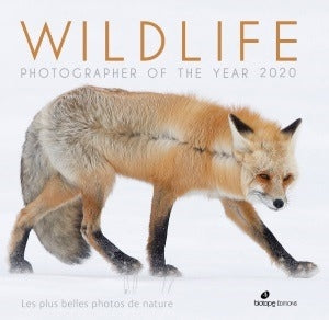 Wildlife Photographer of the year 2020 : les plus belles photos de nature Film, Art & Culture