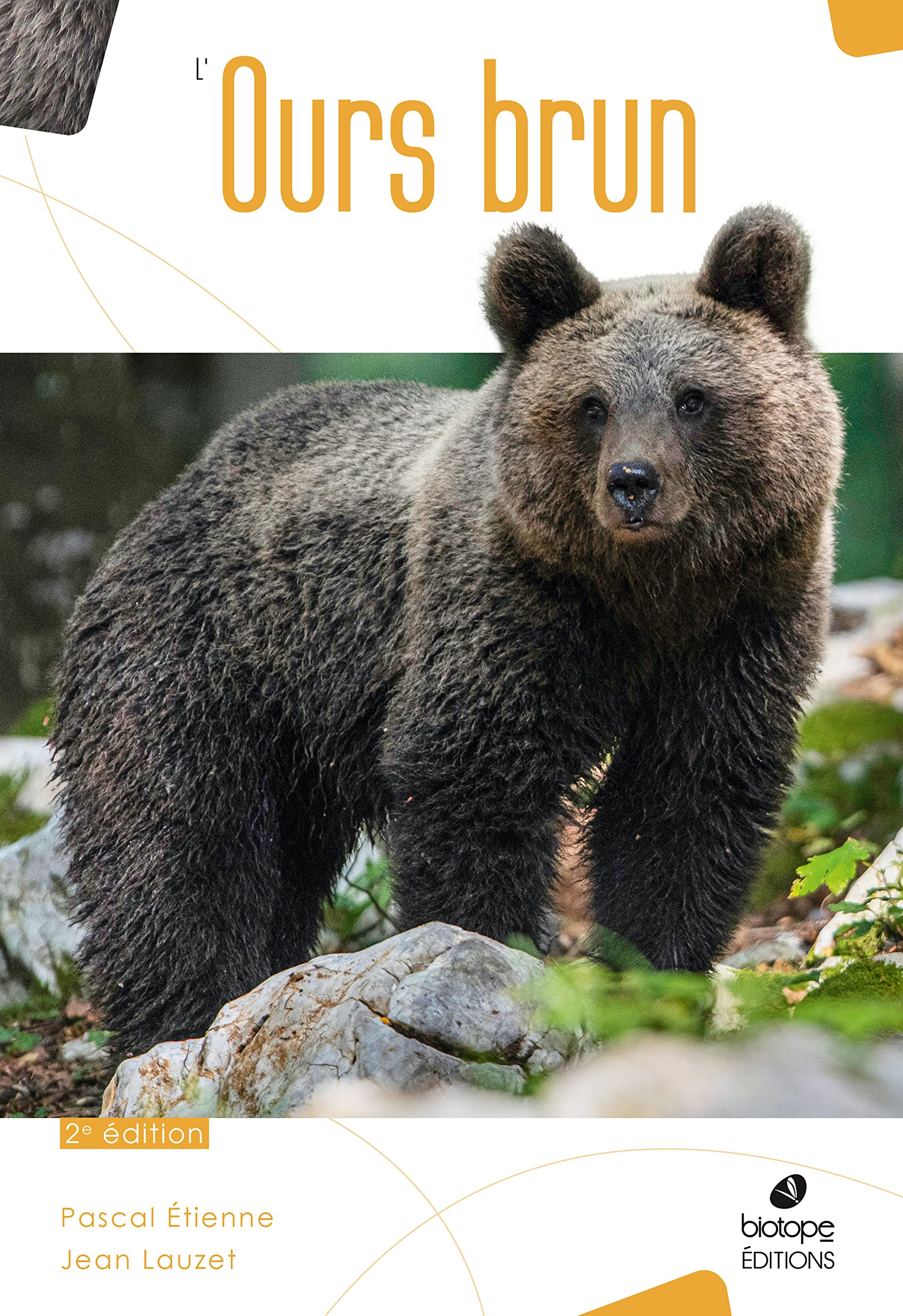 L'Ours Brun: Biologie et Histoire, des Pyrénées à l'Oural - 2ème édition Film, Art & Culture