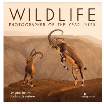 Wildlife photographer of the year 2023 : les plus belles photos de nature Film, Art & Culture