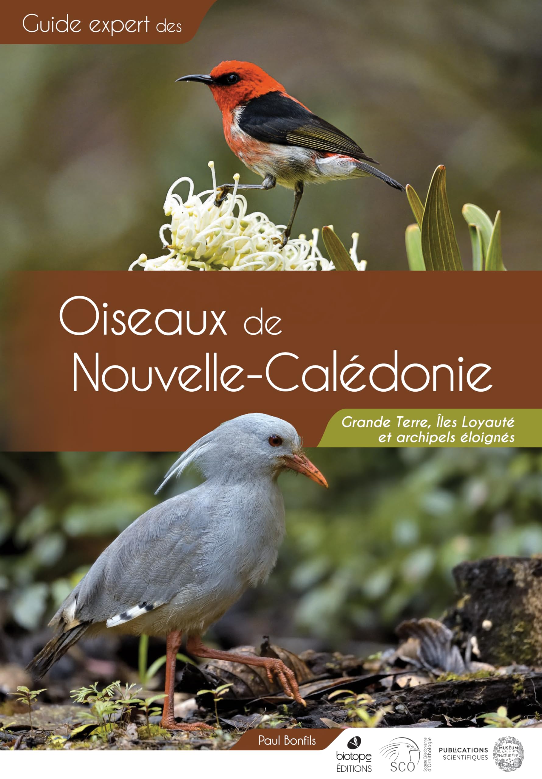 Guide des Oiseaux de Nouvelle-Calédonie: Grande Terre, Îles Loyauté et archipels éloignés Film, Art & Culture