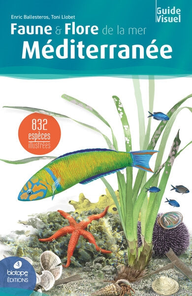 Faune et flore de la mer Méditerranée : 832 espèces illustrées : guide visuel Film, Art & Culture