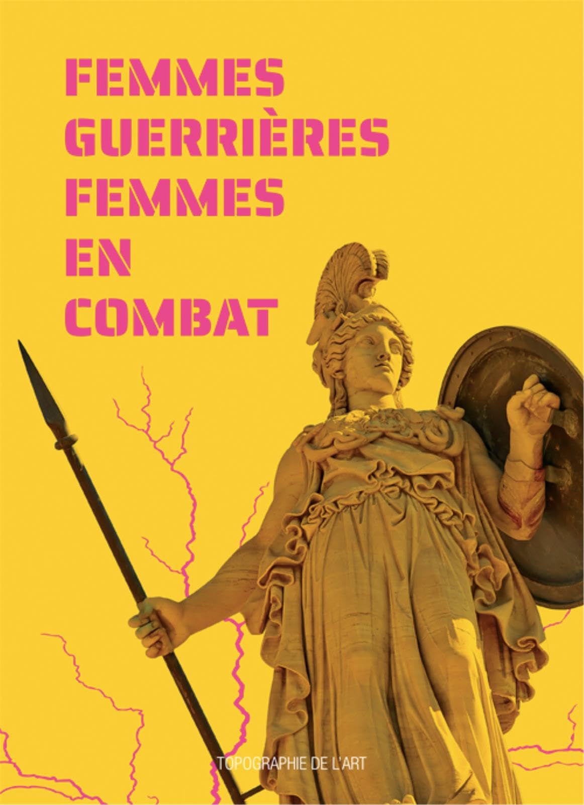 Femmes guerrieres / femmes en combat book