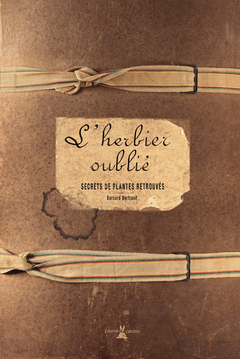 L'herbier oublié: Secrets de plantes retrouvés Books
