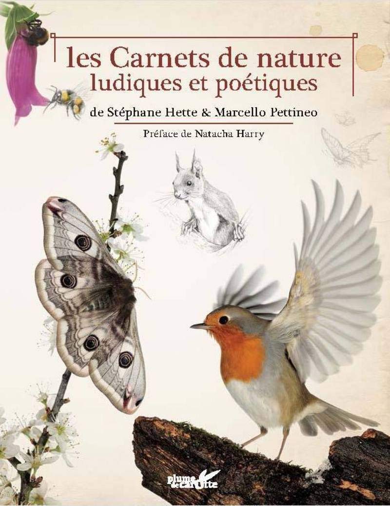 Les Carnets de nature ludiques et poétiques Books