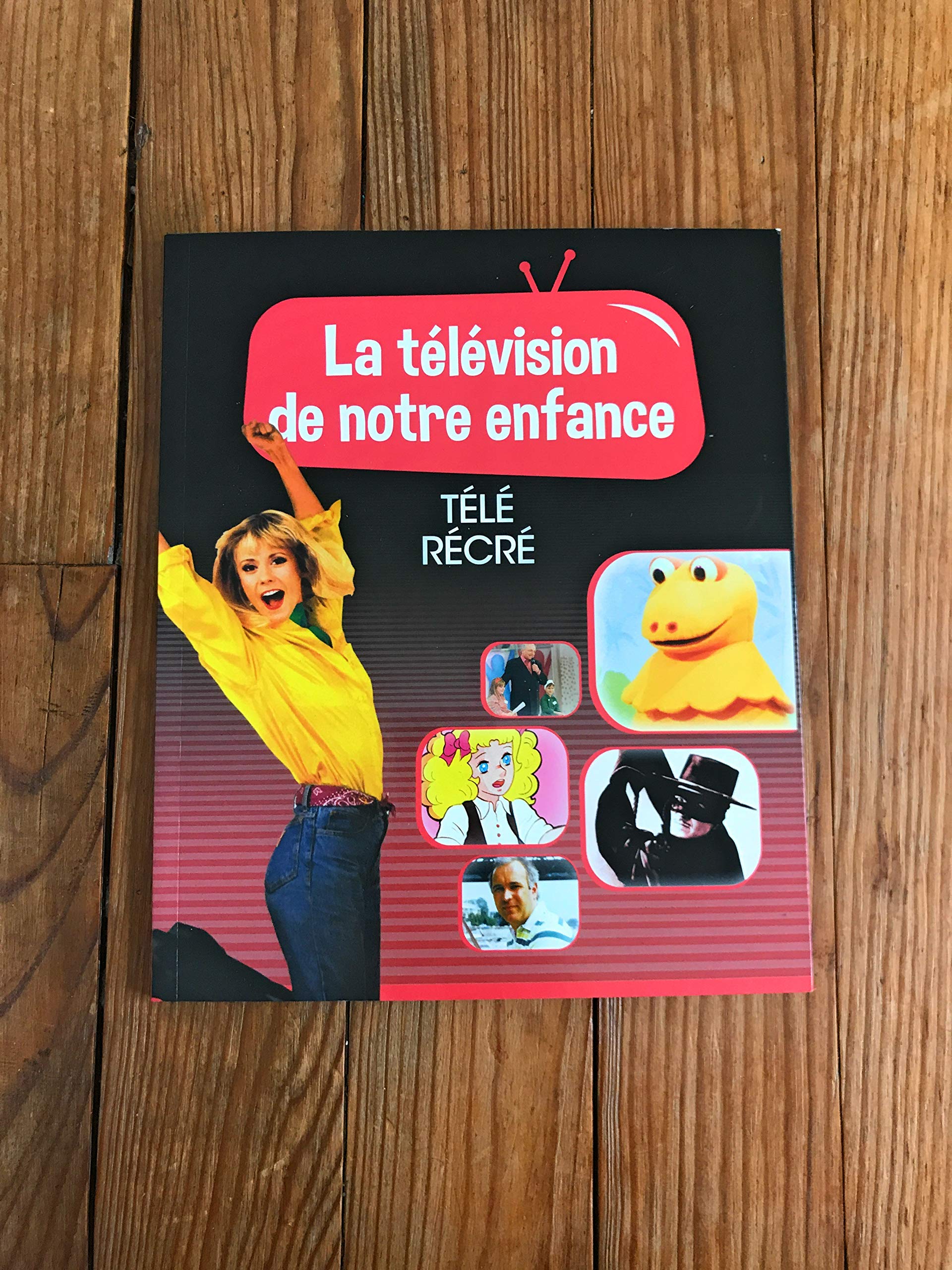 LA TELEVISION DE NOTRE ENFANCE VOLUME 6 TELE RECRE Books