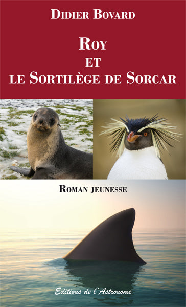 Roy et le sortilège de Sorcar : roman jeunesse Novels & Short Stories