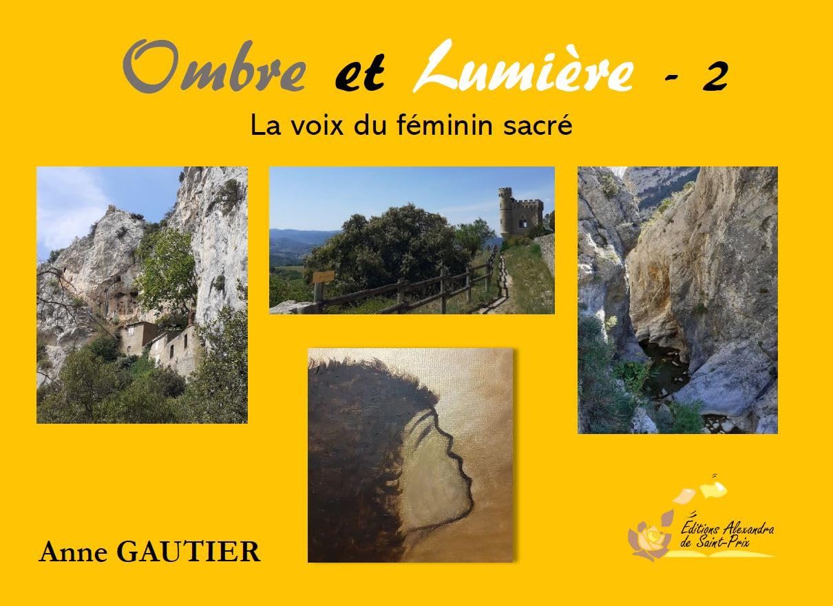 Ombre et Lumière: Tome 2 La voix du féminin sacré book