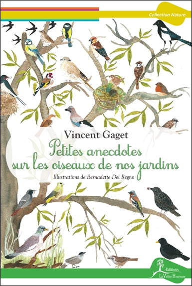 Petites anecdotes sur les oiseaux de nos jardins Leisure, Home & Garden