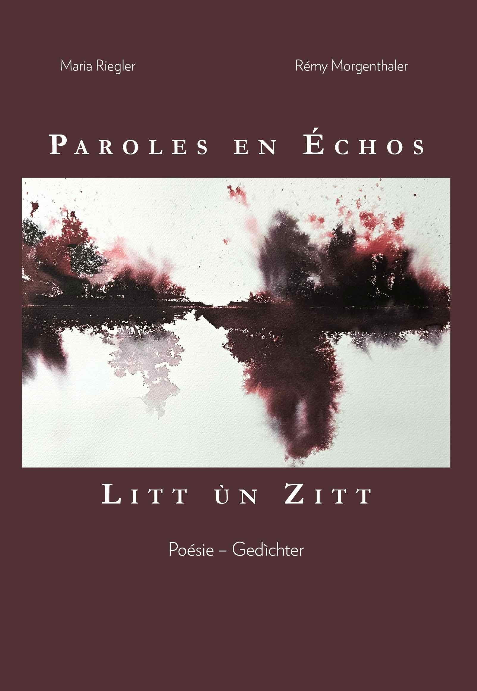 Paroles en échos: Litt ùn Zitt book
