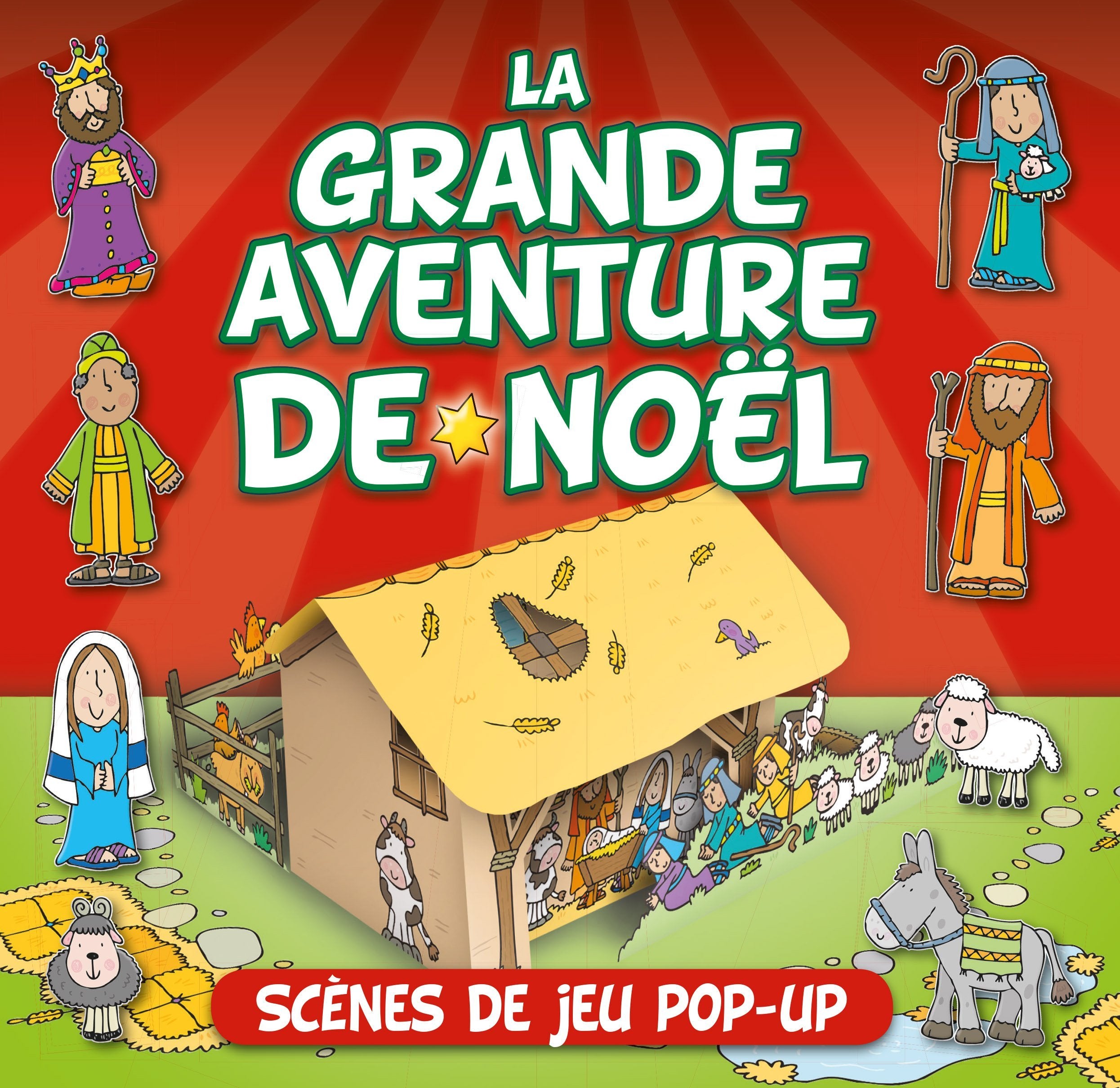 La grande aventure de Noël Linda Birkinshaw book