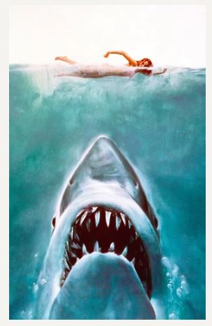 Les dents de la mer ou L'art du subjectif Books