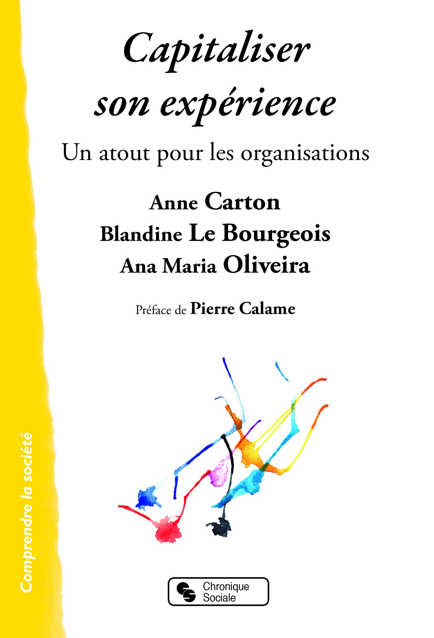 Capitaliser son experience: Un atout pour les organisations book