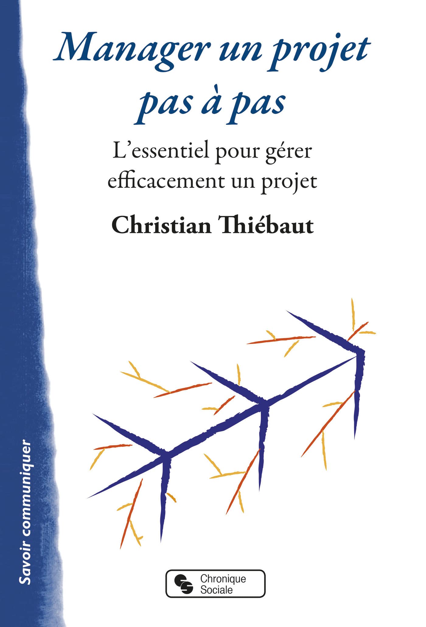 Manager un projet pas à pas: L'essentiel pour gérer efficacement un projet book