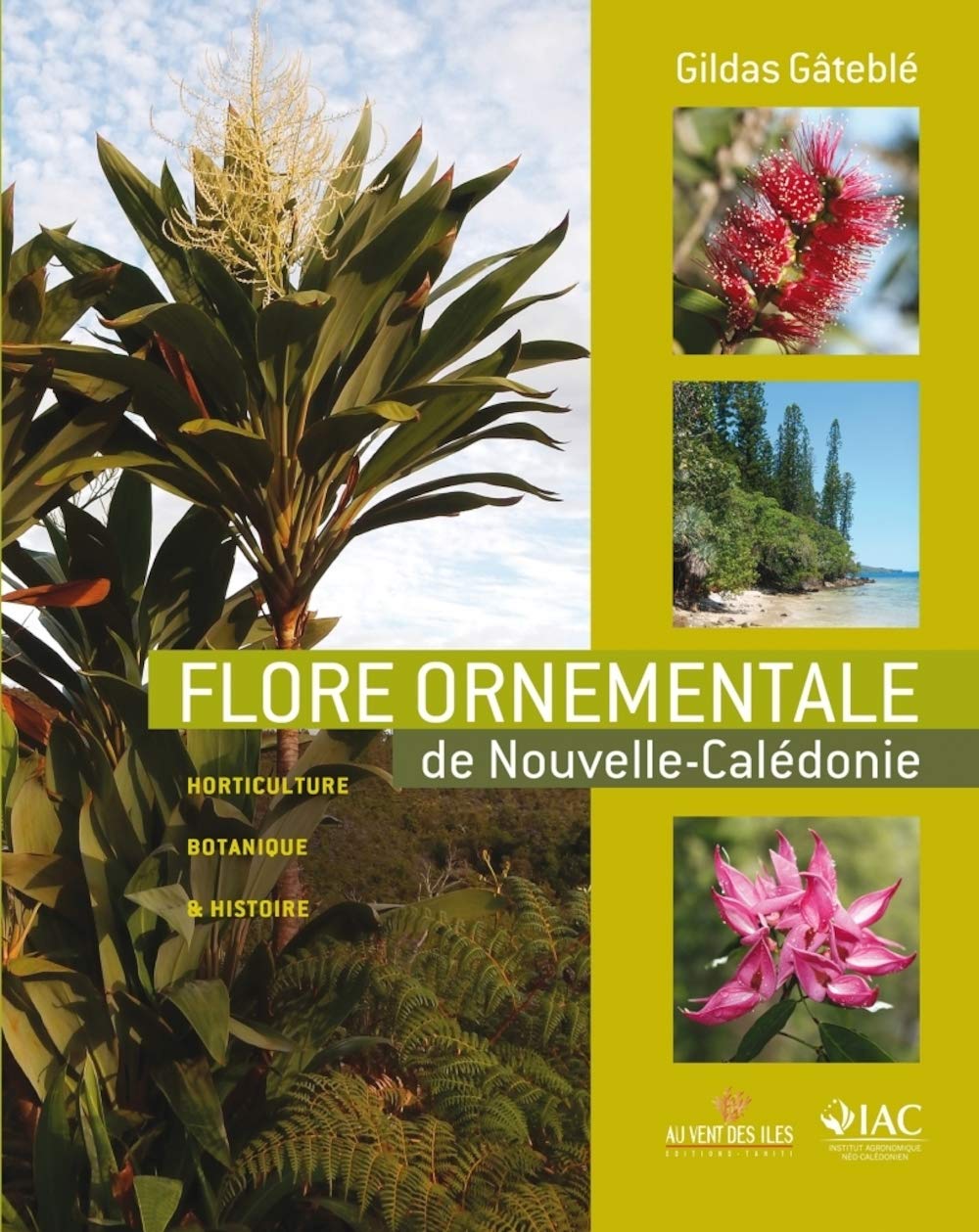Flore ornementale de Nouvelle-Calédonie book
