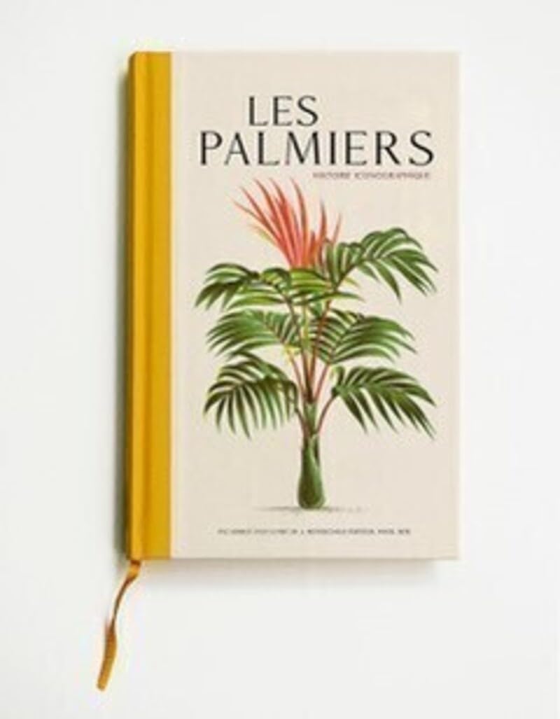 Les palmiers - Histoires iconographiques: Histoire iconographique Nature & Animals