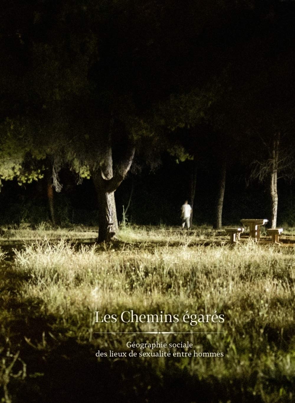 Les chemins égarés: Géographie sociale des lieux de sexualité entre hommes book
