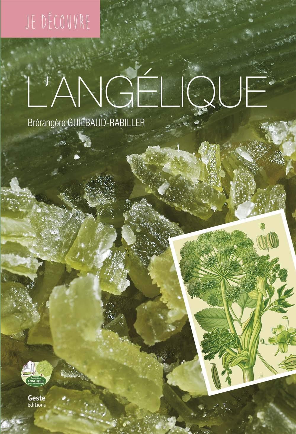 Je Découvre l'Angelique Books